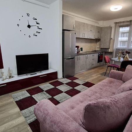 Ludi House Apartment Târgu-Mureş Zewnętrze zdjęcie