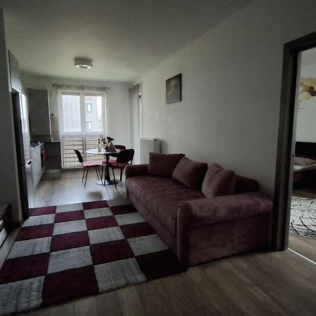 Ludi House Apartment Târgu-Mureş Zewnętrze zdjęcie