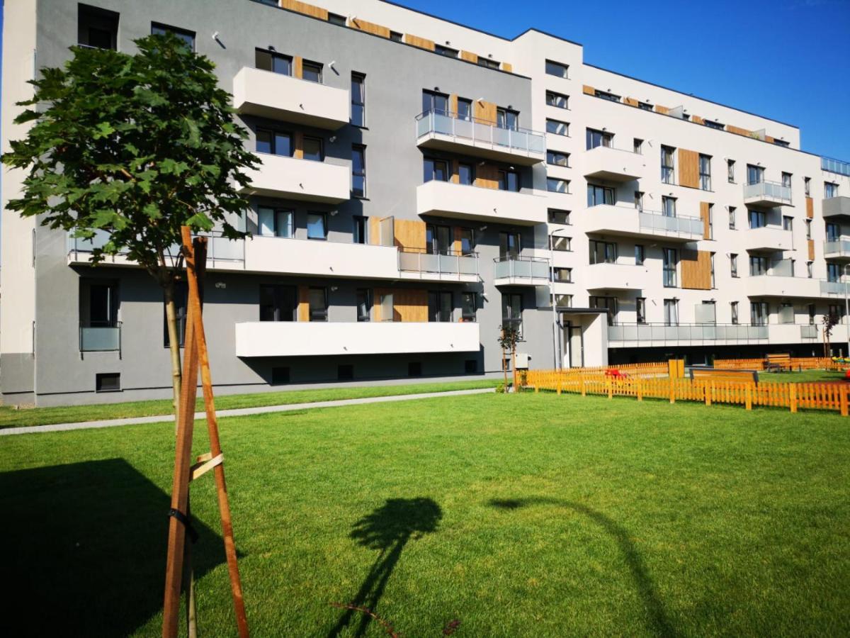 Ludi House Apartment Târgu-Mureş Zewnętrze zdjęcie